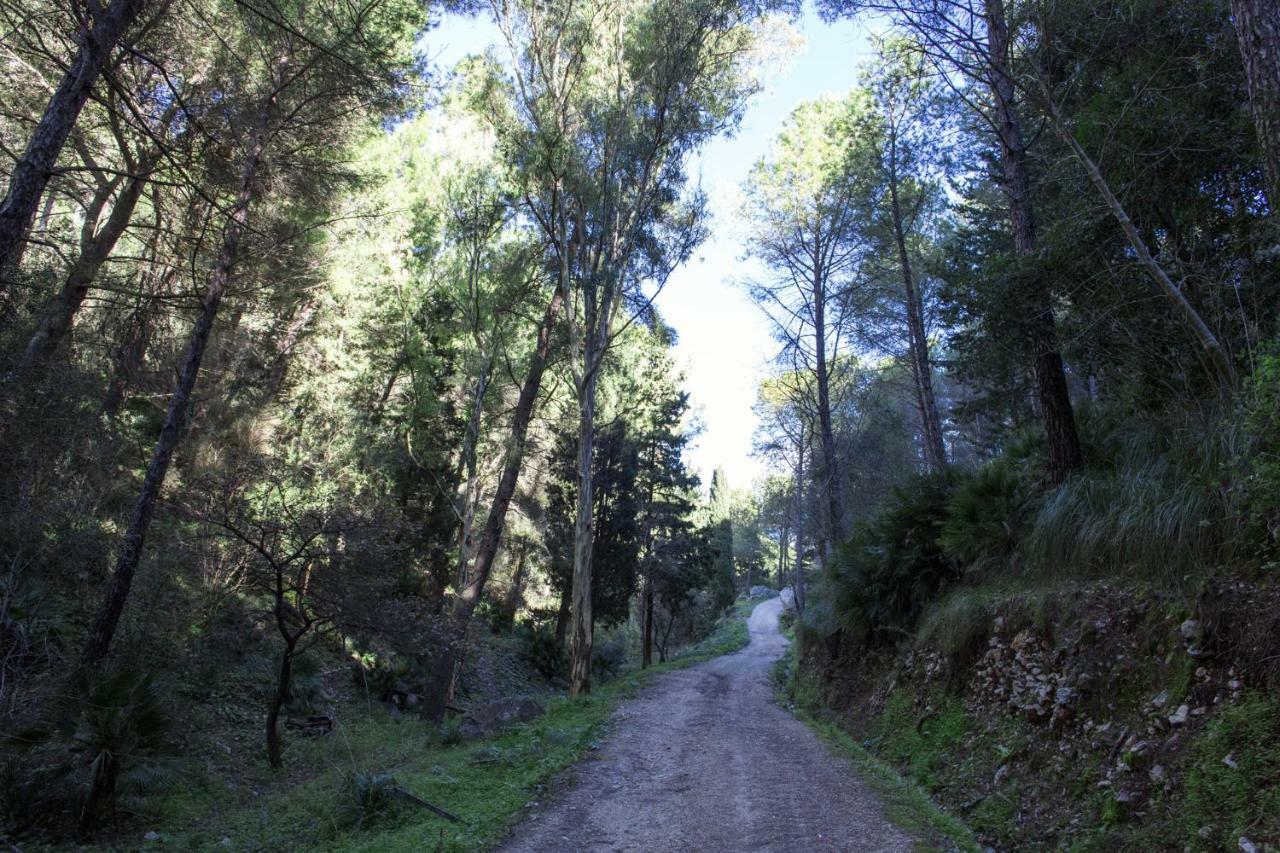 La Dimora Di Segesta B&B カラタフィーミ エクステリア 写真