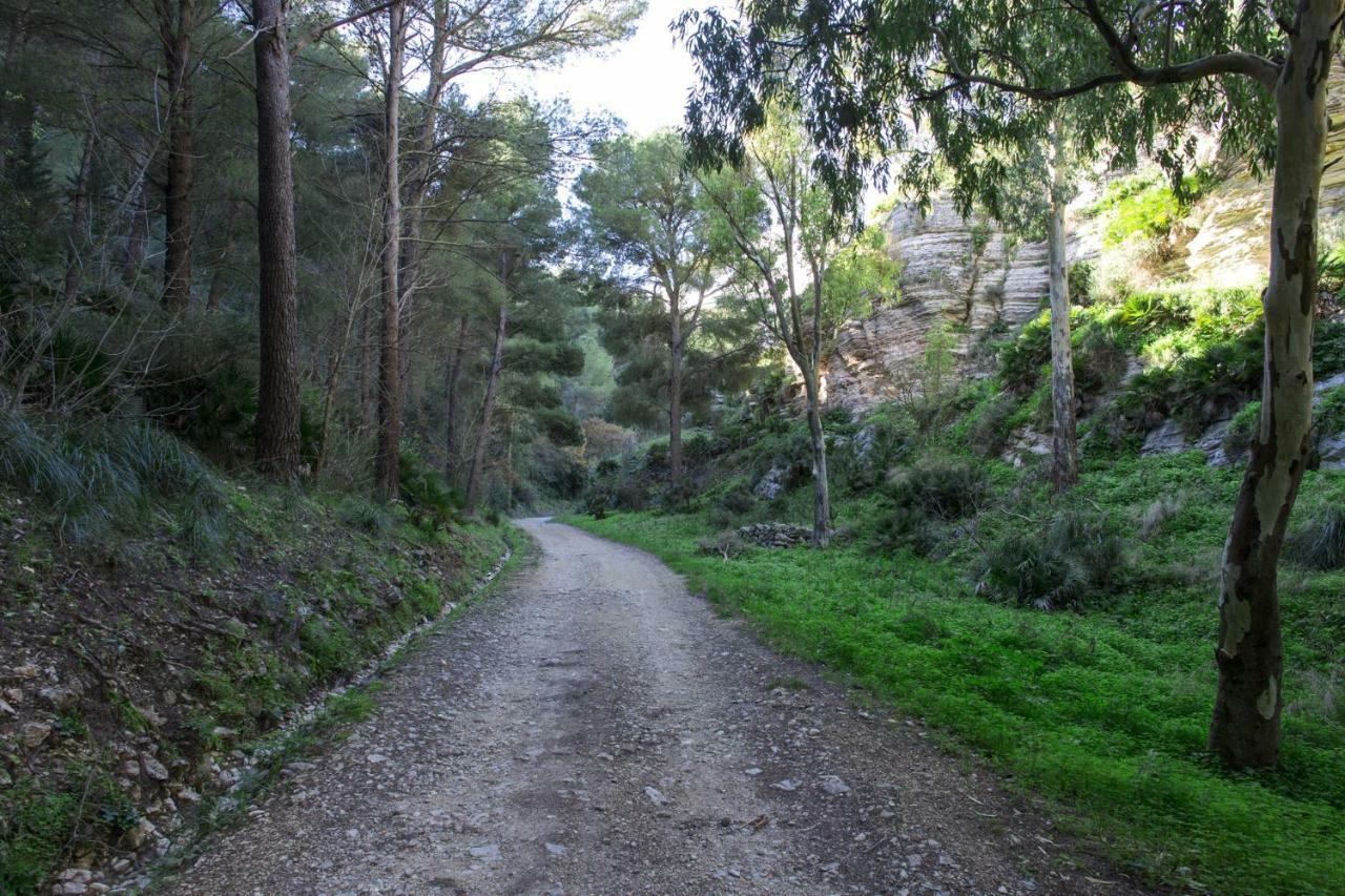 La Dimora Di Segesta B&B カラタフィーミ エクステリア 写真
